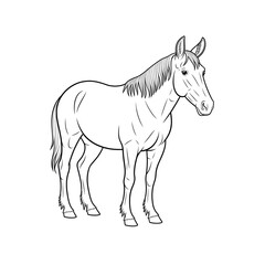 A mule illustration line art of a coloring page 