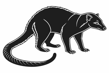 kinkajou sihouette black vector
