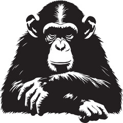 Obraz premium chimpanzee vector