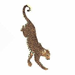 leopard illustration