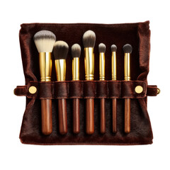 Professional Makeup Brush Set in Luxurious Brown Velvet Case High Quality Tools for Beauty Application