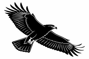 hawk sihouette black vector