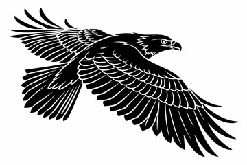 hawk sihouette black vector