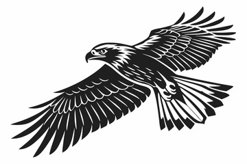 hawk sihouette black vector