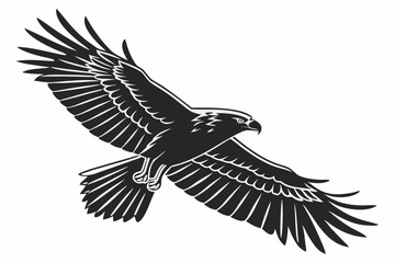 hawk sihouette black vector