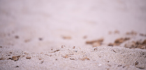 Sand on the beach background