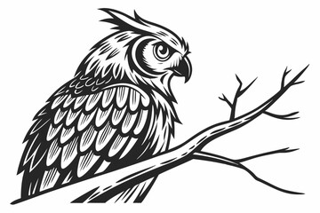 owl silhoette black vector