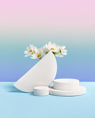 White round podium set on a gradient blue-purple background white cosmos flowers. Concept scene stage showcase for new product, sale, cosmetic, presentation. Abstract geometric composition in