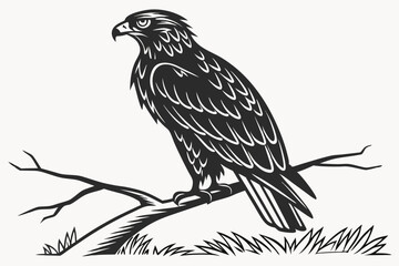 owl silhoette black vector