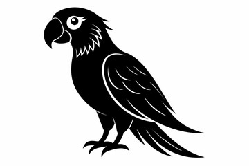 parrot sihouette black vector