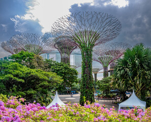 Tropical vegation and modern architecture in the Gardens by the Bay, Marina Bay, Singapore