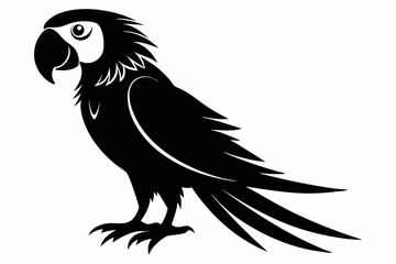 macaw sihouette black vector