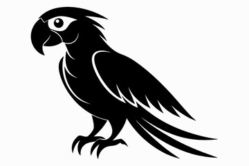 Fototapeta premium macaw sihouette black vector