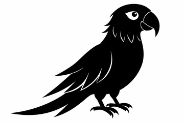 macaw sihouette black vector