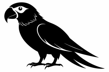 macaw sihouette black vector
