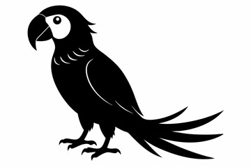 macaw sihouette black vector