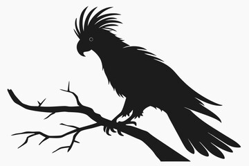 cockatoo sihouette black vector