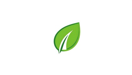 Green Leaf Logo Design.