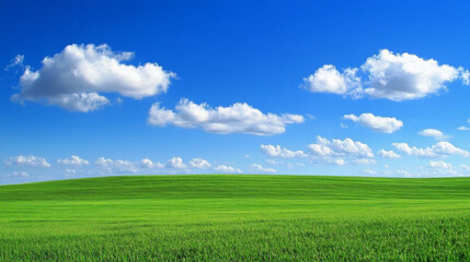 Summer blue sky, white clouds, and green grass, open natural scenery background