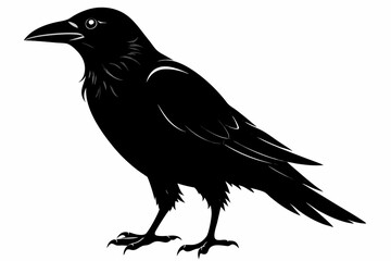 crow sihouette black vector