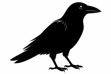 crow sihouette black vector