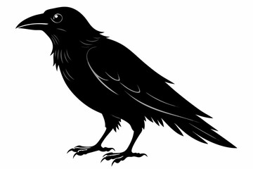 crow sihouette black vector