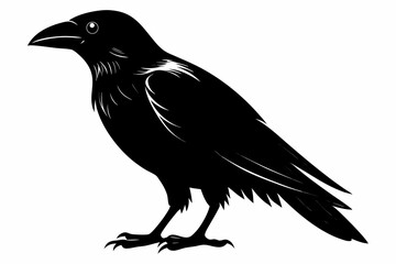 crow sihouette black vector