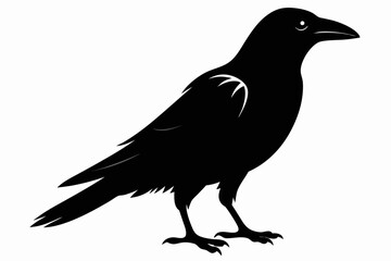 crow sihouette black vector