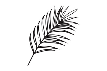 Fototapeta premium Palm tree leave hand drawn black vector illustration icon on white background