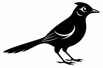 jay bird sihouette black vector