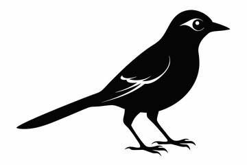 jay bird sihouette black vector
