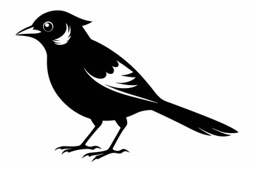 jay bird sihouette black vector