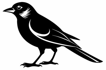 jay bird sihouette black vector