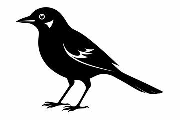 Obraz premium jay bird sihouette black vector