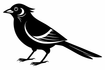 jay bird sihouette black vector