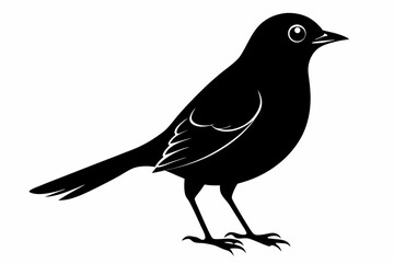 jay bird sihouette black vector