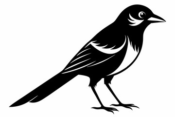 jay bird sihouette black vector