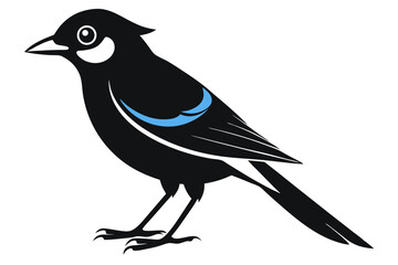 jay bird sihouette black vector