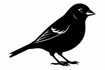 finch sihouette black vector