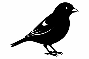 finch sihouette black vector