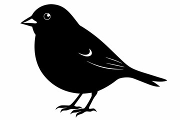 finch sihouette black vector