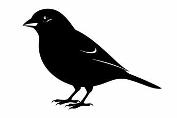 finch sihouette black vector