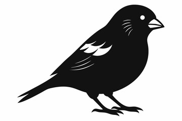 finch sihouette black vector