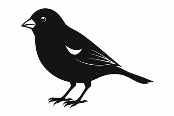 Obraz premium finch sihouette black vector