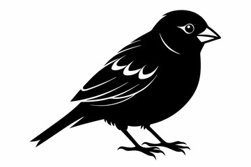 finch sihouette black vector