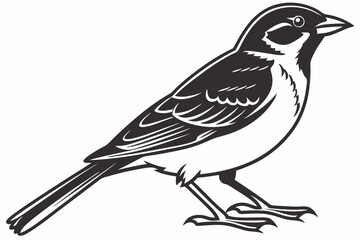 sparrow sihouette black vector