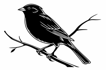 sparrow sihouette black vector