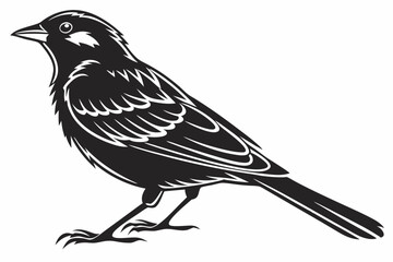 sparrow sihouette black vector