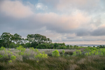 Fototapeta premium hilton head island, south carolina