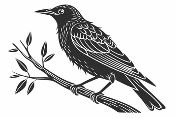 starling silhoette black vector